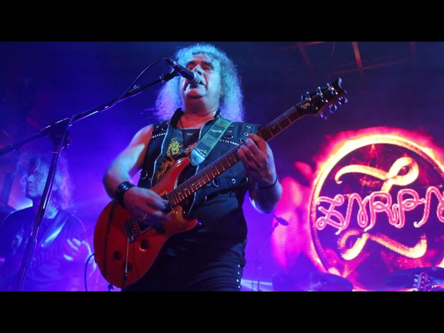 Zarpa - Un Perfecto Plan