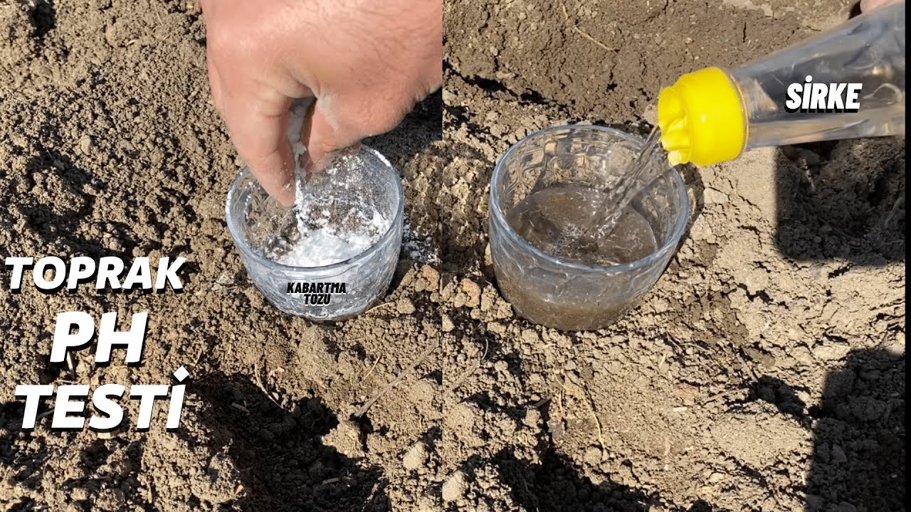 hadi canım bu kadar basit ve hızlı olamaz %100 ve bedava PH öğrenme