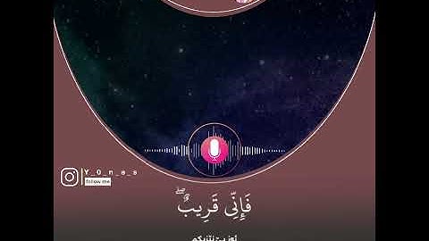 اروع تلاوة القران الكريم ب صوت القارئ عمير شميم سورة البقرة آجمل حالات واتس اب قرآنيه ب كردي