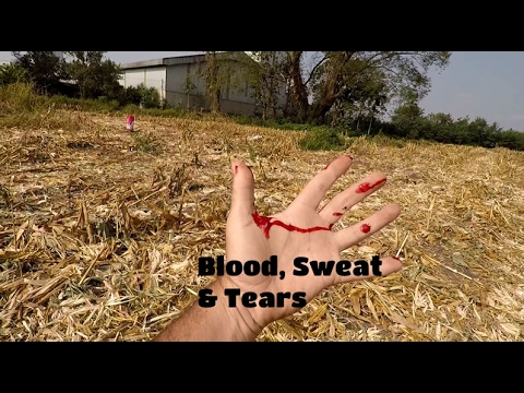 Blood, Sweat & Tears - YouTube