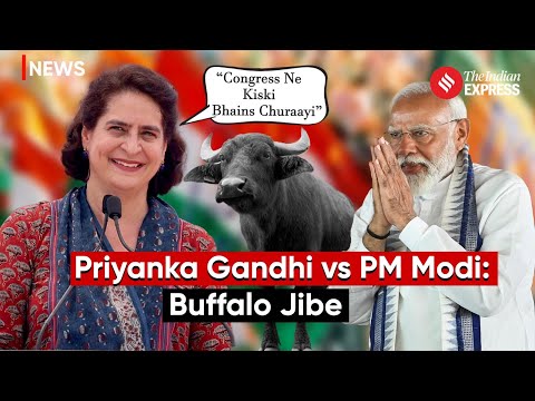 Priyanka Gandhi Counters PM Modis Allegation, Questions Claim on Congress Taking Away Buffaloes @indianexpress