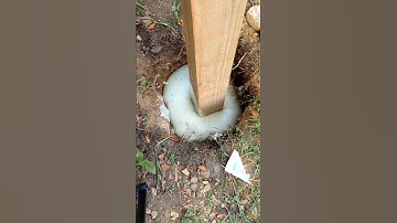 Fix Broken MailBox with Foam