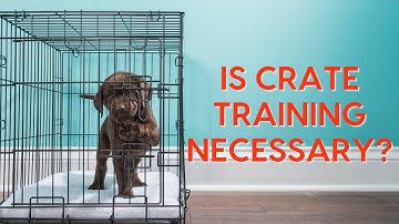 Is Crate Training Necessary? 17 Pros & Cons of Crate Training a Dog