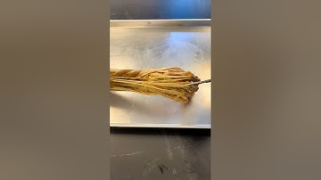 The Inside of a Real Hand