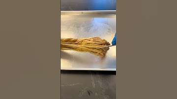 The Inside of a Real Hand
