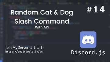 #14 Random Cat & Dog in Slash Command with API Discord.js