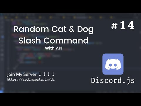 #14 Random Cat & Dog in Slash Command with API Discord.js