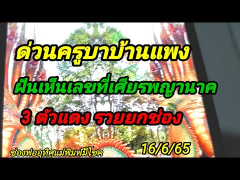 รีบซื้อให้ได้ช้าง# ครูบาบ้านแพง# ฝันเห็นพญานาคเห็นเลข 3 ตัวแดงๆ