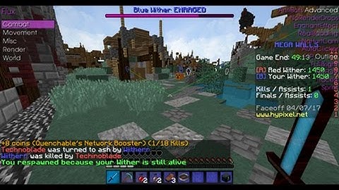Mega Walls - Cheater Exposed Wiitherr hacking blatantly