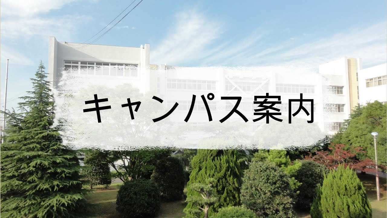 三重 短期 大学