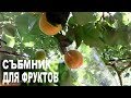 Как сделать съемник для яблок и абрикос из подручных средств