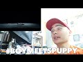 BTS WINGS Short Film 3 STIGMA BOYMEETSPUPPY