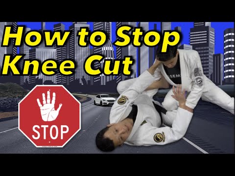How to Stop Knee Cut Pass in Reverse De La Riva | Pass Guard Defence ...