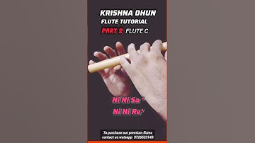 "Krishna Dhun Flute Tutorial - Part 2 🎵✨ Play Along! #FluteLessons #Shorts"