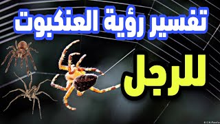 تفسير رؤية العنكبوت للرجل فى المنام / رؤية العنكبوت الأسود للرجل