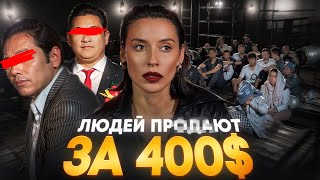 видео: Мьянма, скам-центры и р*бство  картинка: Мьянма, скам-центры и р*бство