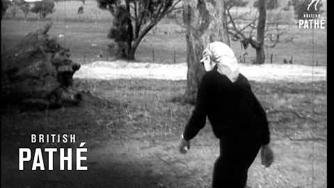 Dr. Barbara Moore Walks In Australia  (1960)