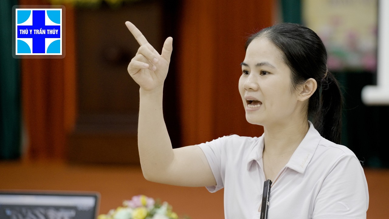 Chuồng bị dịch tả lợn châu phi cần làm gì trước khi tái đàn?