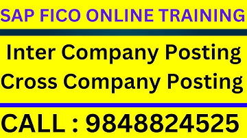 Inter Company Posting Cross Company Posting in SAP FICO
