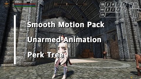 SKYRIM SE Unarmed Animation / 스카이림SE 맨손전투 모션