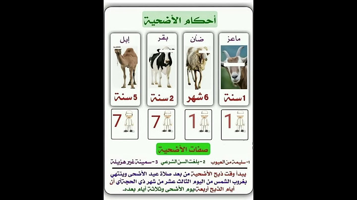 أحكام وصفات الأضحية(لا تنسى الإشتراك في القناة تشجيعا لنالنستمر بنشر المزيد إن شاء الله)
