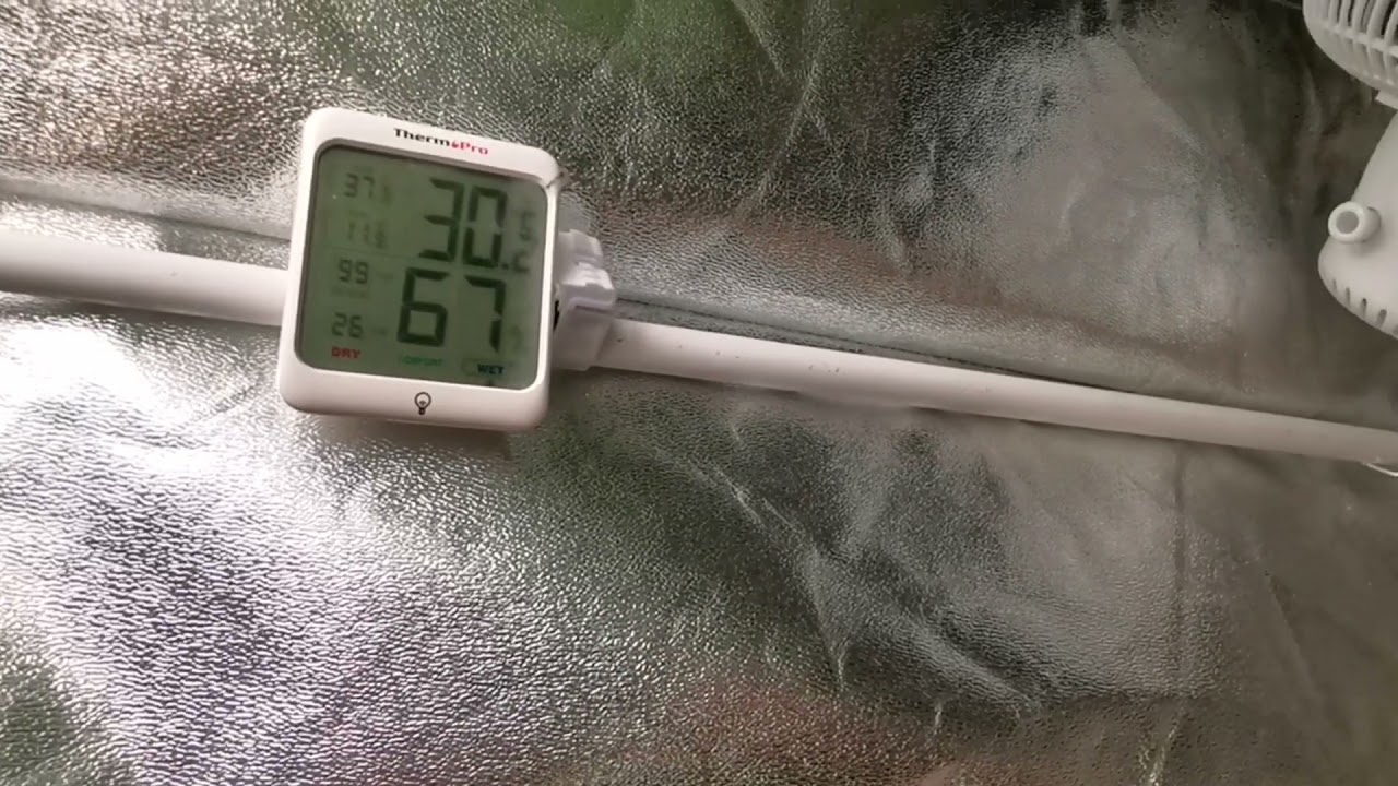 Newb to Beginner Grow Test: Alien OG & King's Juice - Week 5-7 of Flower