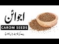 Ajwain ke fayde  benefits of carom seeds  tibe ahlebait part 174  maulana syed ali naqi kazmi