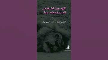 لو مظلوم اسمع الايه دي #اكسبلور #لايك #قرآن #تيك_توك #الظروف #الرحمن #المصحف #ترند #قران_كريم #سورة