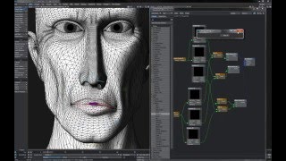 20 Advanced Face Nose (Clip)