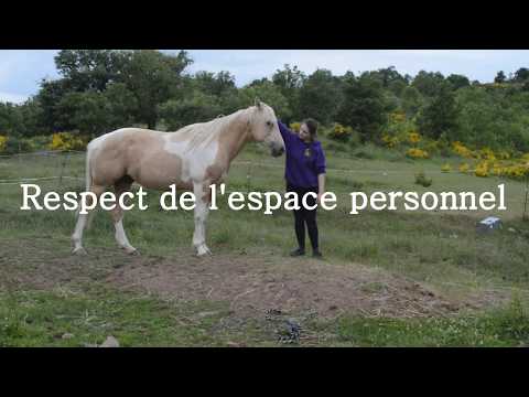 Vidéo: Respect De L'espace Personnel