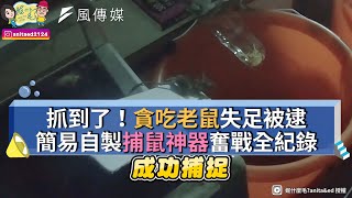 抓到了！貪吃老鼠失足被逮 簡易自製捕鼠神器奮戰全紀錄