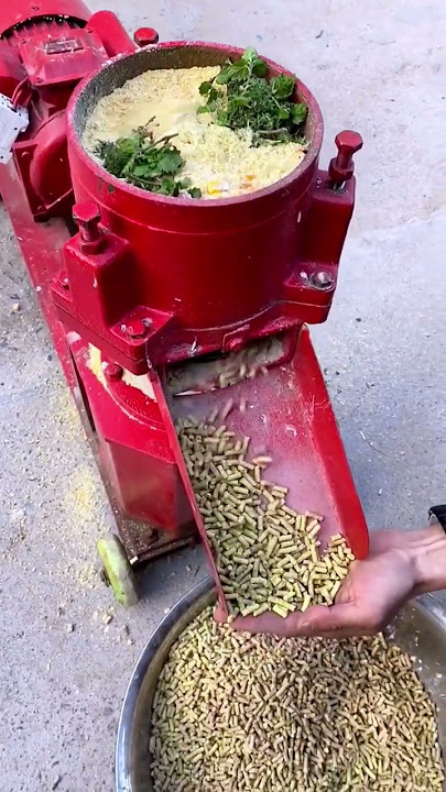 Petani menggunakan pabrik pelet untuk membuat pelet untuk pakan unggas.