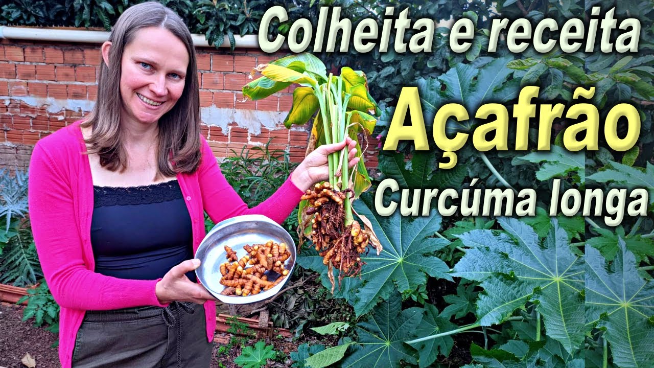 Это растение имеет много преимуществ для здоровья 🌱💚