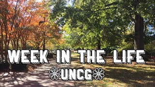 Week in the life of a college freshman //UNCG// Halloween week 2019