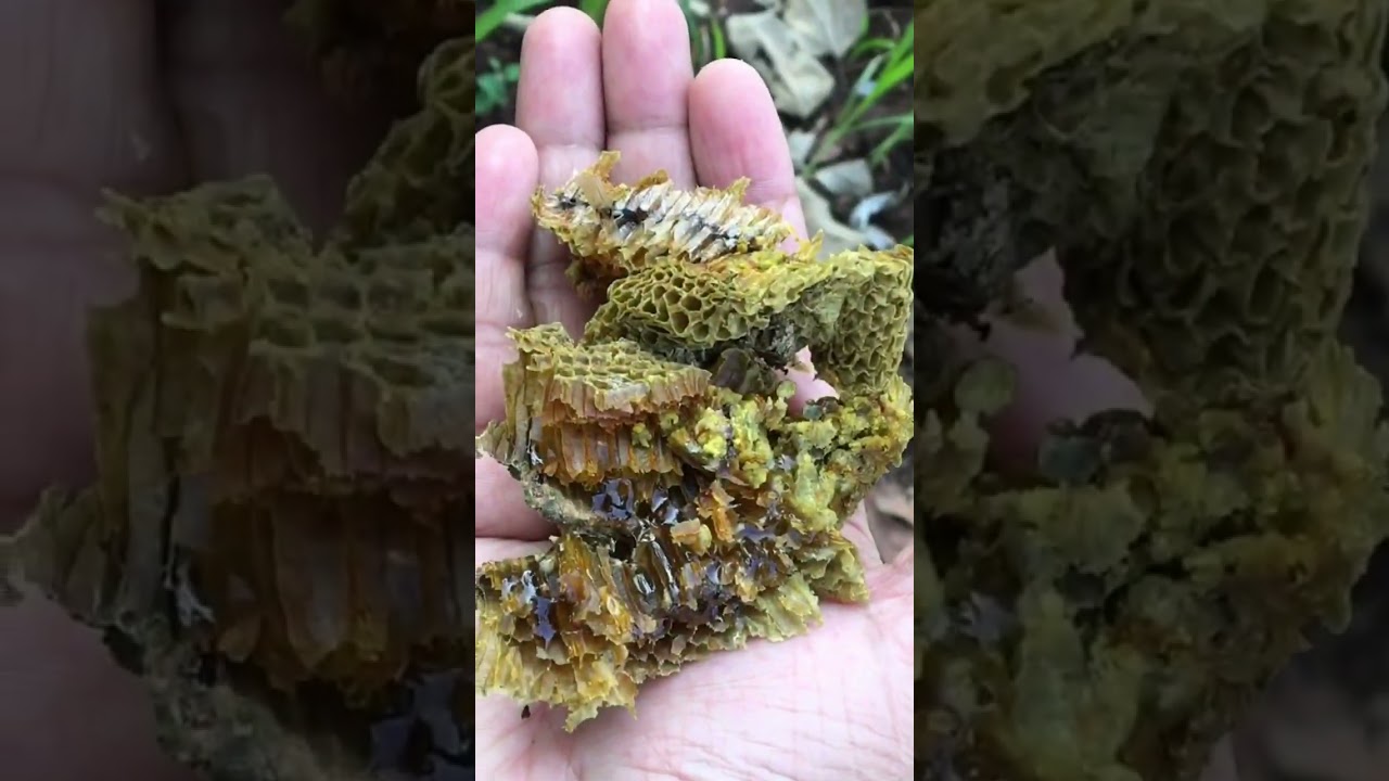 #Mr.23 with Nature @ Village 😍