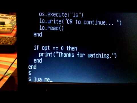 Lua program displaying a text menu.