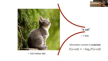LLM Understanding:1. R. FUTRELL "Language Models in the Information-Theoretic Science of Language"