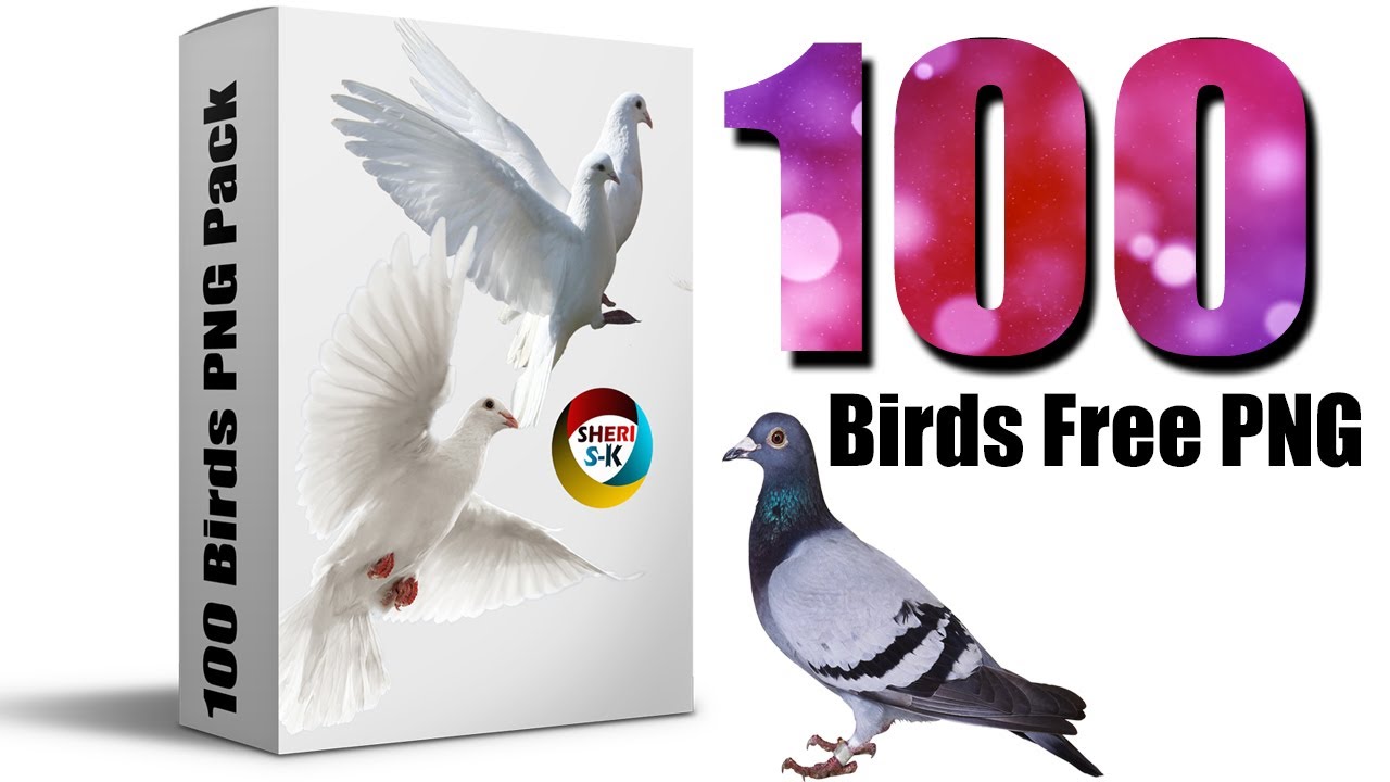 Birds HD PNG Pack Free Download Sheri Sk