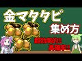 金マタタビの入手方法を解説!!ラスヴォース&神様を進化!!