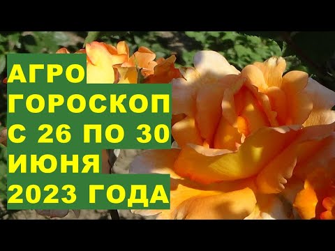 Видео: Ще стартираме ли 