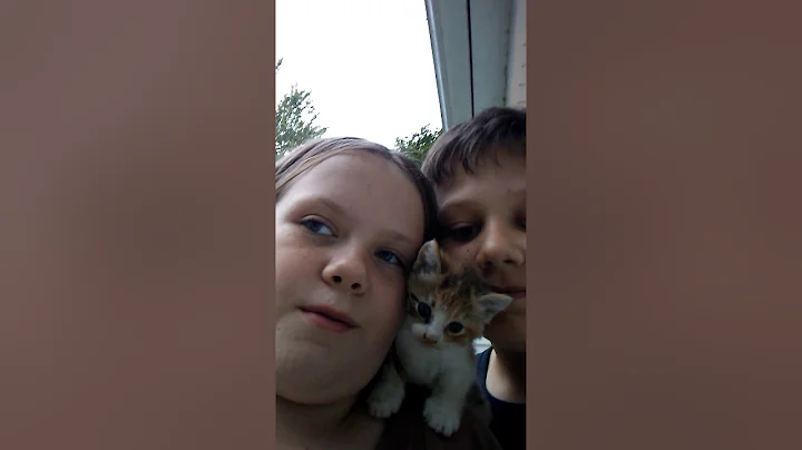 My pets