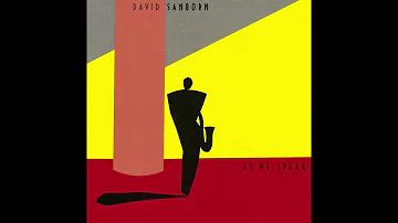 ALBUMS DE LEGENDE by Sergio (05) - David Sanborn 1982