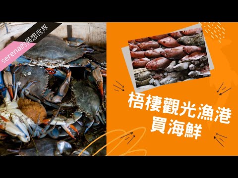 【台灣旅遊Vlog】疫情後微解封！！假日來台中梧棲觀光漁港買海鮮魚貨、吃吃喝喝的好去處！！｜serena莎蓮娜的異想世界