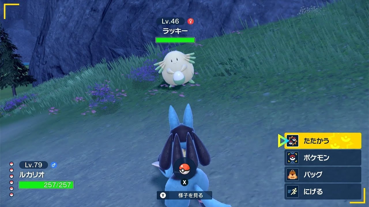 ポケモンsv ラッキーでレベル上げ周回していたらラッキーの色違いが現れました Youtube