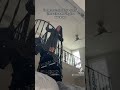 SO MY HOUSE IS HAUNTED