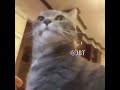 يا ريتني كنت انا