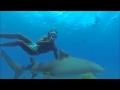 Jirka Zindulka se potápí se žraloky - ostrov Bora Bora