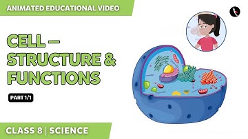 Cell — Structure And Functions | NCERT Science Class 8 Chapter 8 | English Explanation | TicTacLearn
