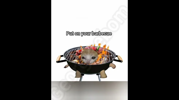 Video 11551411: asian cats funny