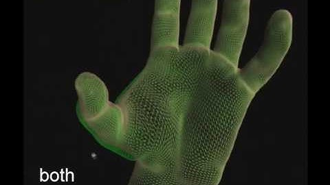 EigenSkin: Real Time Large Deformation Character Skinning in Hardware